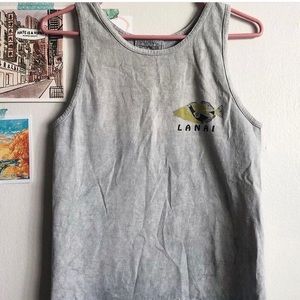 Hawaii State Fish Tank